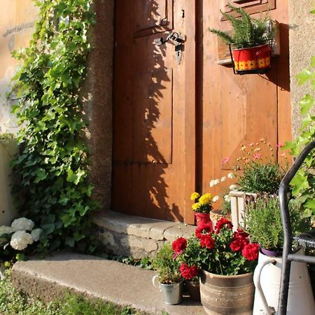 Lazy River Hostel Loket Εξωτερικό φωτογραφία