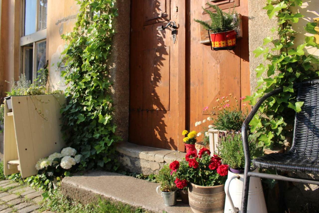 Lazy River Hostel Loket Εξωτερικό φωτογραφία